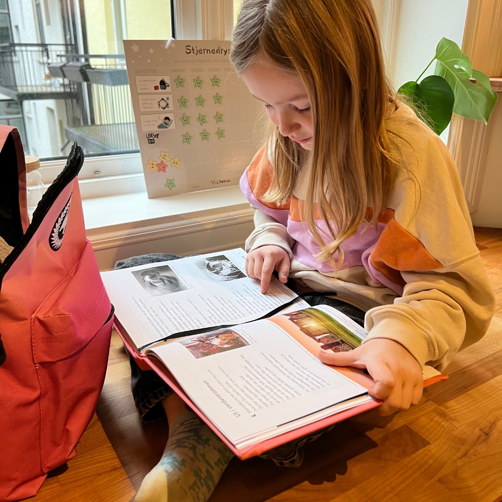 Belønningssystemet Stjernedryss